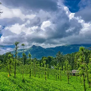 Ende Wayanad Hotel Koroth